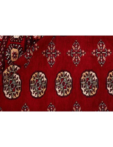 Hand made rug Bukhara fine Pakistan cm.207x307