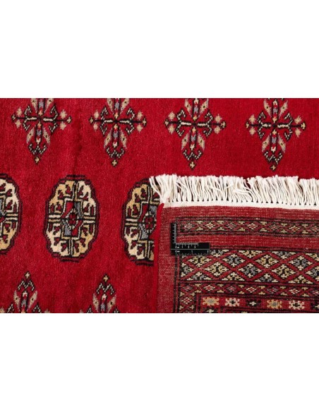 Hand made rug Bukhara fine Pakistan cm.204x316