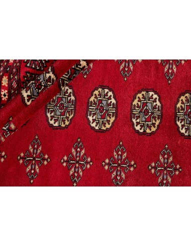 Hand made rug Bukhara fine Pakistan cm.204x316