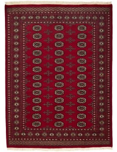 Hand made rug Bukhara fine Pakistan cm.171x231
