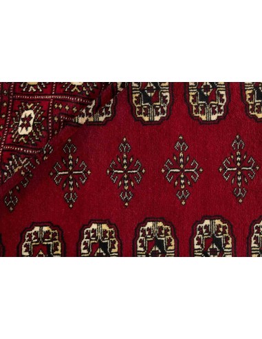 Hand made rug Bukhara fine Pakistan cm.171x231