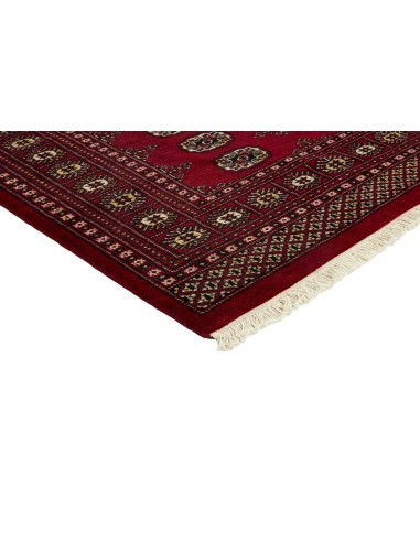 Hand made rug Bukhara fine Pakistan cm.171x231