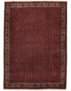 Hand made rug Bidjar Persia cm.250x357
