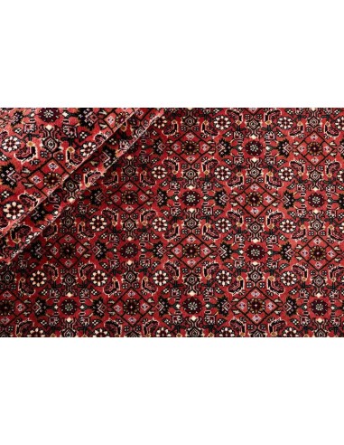 Hand made rug Bidjar Persia cm.250x357