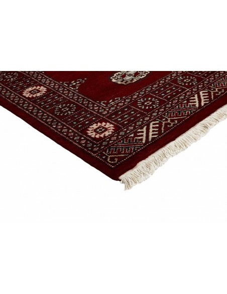 Hand made rug Bukhara fine Pakistan cm.75x200