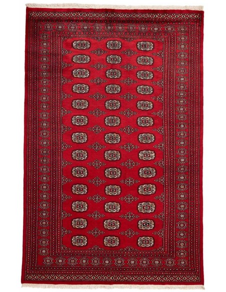 Hand made rug Bukhara fine Pakistan cm.167x256