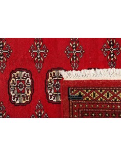 Hand made rug Bukhara fine Pakistan cm.167x256 2