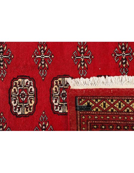 Hand made rug Bukhara fine Pakistan cm.167x256
