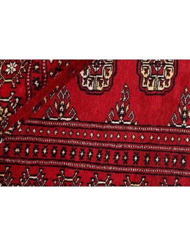 Hand made rug Bukhara fine Pakistan cm.167x256