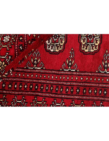 Hand made rug Bukhara fine Pakistan cm.167x256