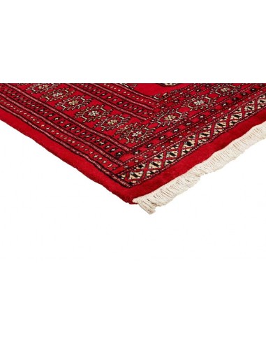 Hand made rug Bukhara fine Pakistan cm.167x256
