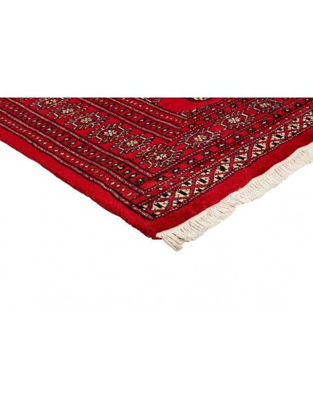 Hand made rug Bukhara fine Pakistan cm.167x256