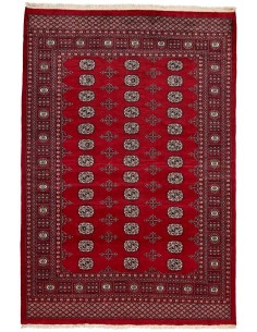 Hand made rug Bukhara fine Pakistan cm.171x252