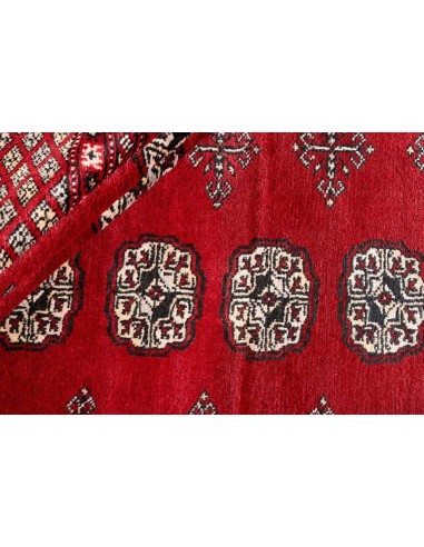 Hand made rug Bukhara fine Pakistan cm.171x252