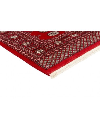 Hand made rug Bukhara fine Pakistan cm.171x252