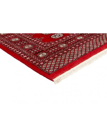Hand made rug Bukhara fine Pakistan cm.171x252