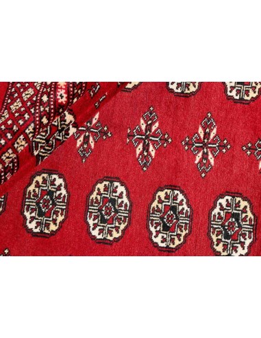 Hand made rug Bukhara fine Pakistan cm.170x247