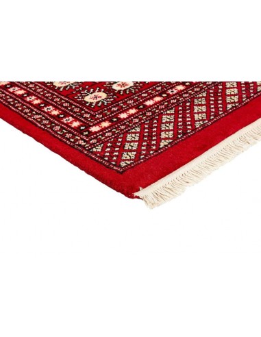 Hand made rug Bukhara fine Pakistan cm.170x247