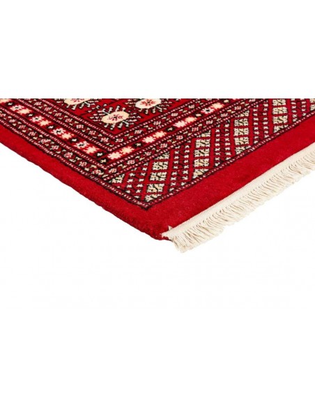 Hand made rug Bukhara fine Pakistan cm.170x247