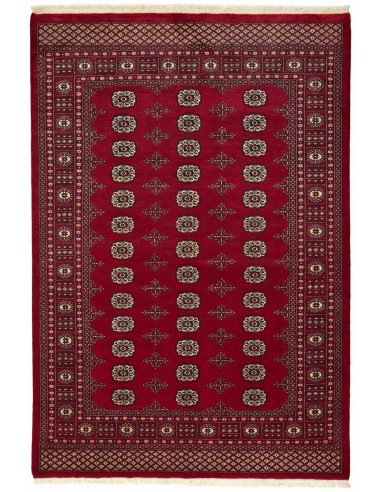 Hand made rug Bukhara fine Pakistan cm.170x249