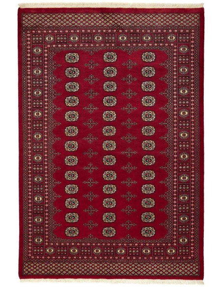 Hand made rug Bukhara fine Pakistan cm.170x249