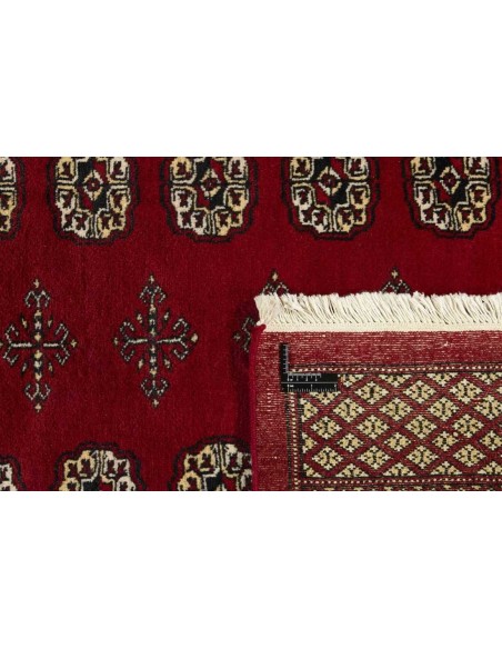 Hand made rug Bukhara fine Pakistan cm.170x249