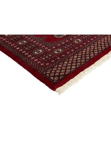 Hand made rug Bukhara fine Pakistan cm.170x249