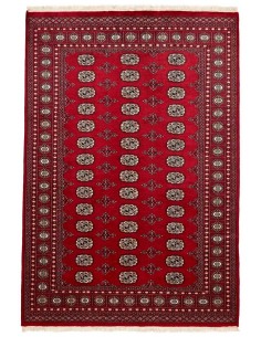 Hand made rug Bukhara fine Pakistan cm.169x248