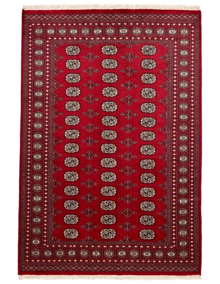 Hand made rug Bukhara fine Pakistan cm.169x248