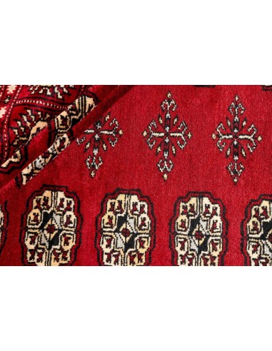 Hand made rug Bukhara fine Pakistan cm.169x248