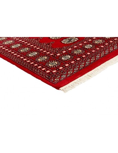 Hand made rug Bukhara fine Pakistan cm.169x248