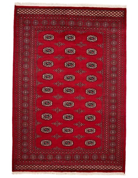 Hand made rug Bukhara fine Pakistan cm.171x249