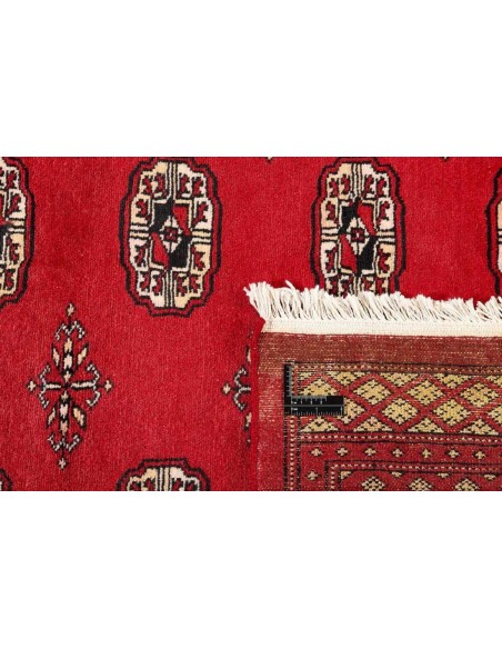 Hand made rug Bukhara fine Pakistan cm.171x249
