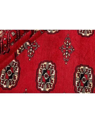 Hand made rug Bukhara fine Pakistan cm.171x249