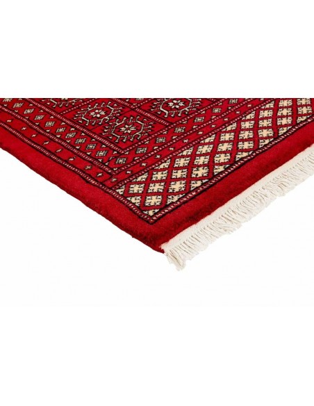 Hand made rug Bukhara fine Pakistan cm.171x249