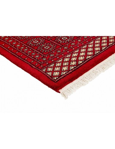Hand made rug Bukhara fine Pakistan cm.171x249