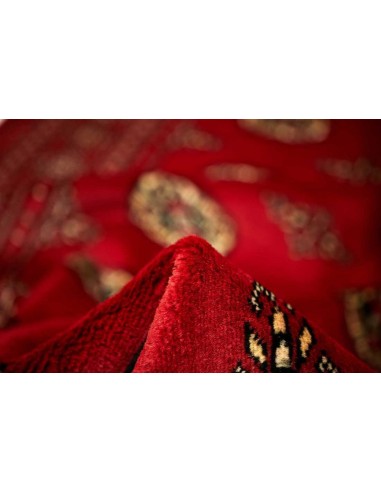 Hand made rug Bukhara fine Pakistan cm.171x249