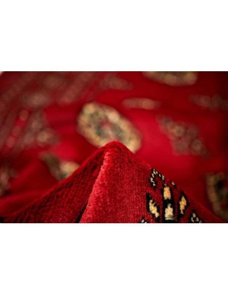 Hand made rug Bukhara fine Pakistan cm.171x249