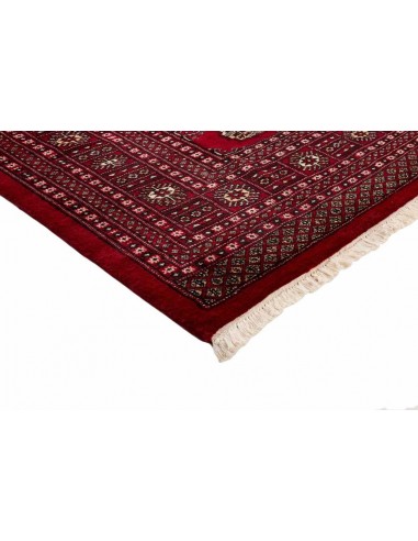 Hand made rug Bukhara fine Pakistan cm.198x322