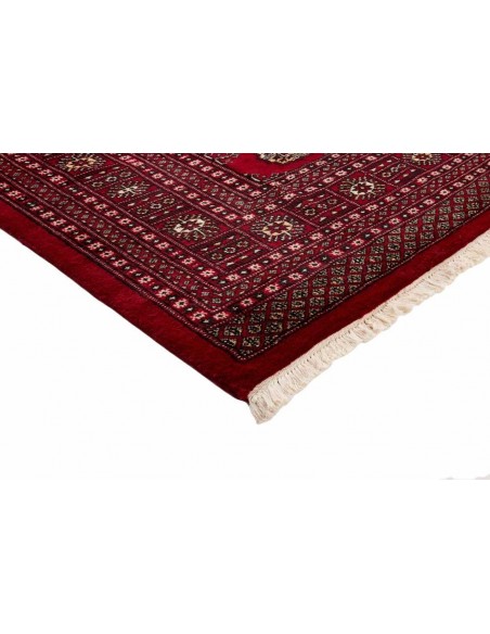 Hand made rug Bukhara fine Pakistan cm.198x322