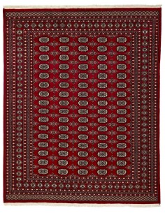Hand made rug Bukhara fine Pakistan cm.245x306