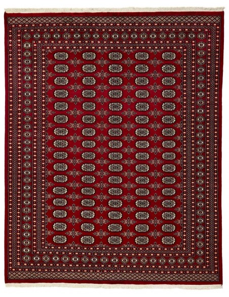 Hand made rug Bukhara fine Pakistan cm.245x306