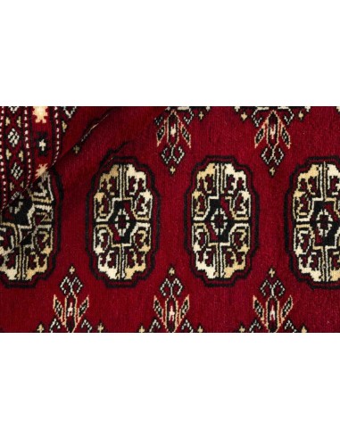 Hand made rug Bukhara fine Pakistan cm.245x306