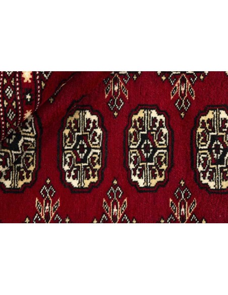 Hand made rug Bukhara fine Pakistan cm.245x306
