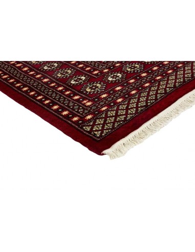Hand made rug Bukhara fine Pakistan cm.245x306