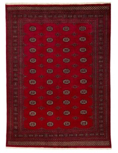 Hand made rug Bukhara fine Pakistan cm.235x319