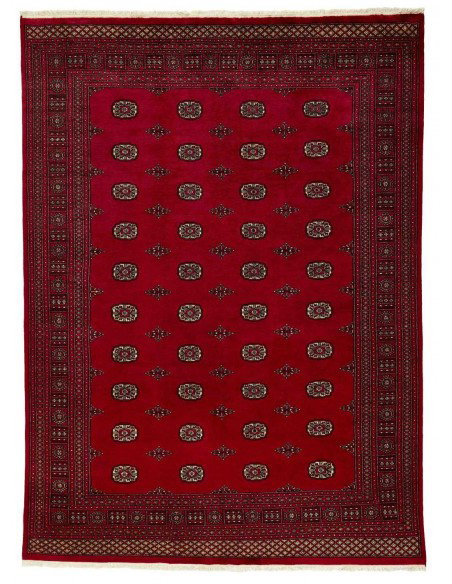 Hand made rug Bukhara fine Pakistan cm.235x319