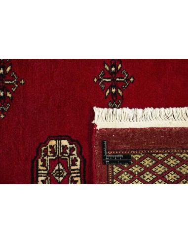 Hand made rug Bukhara fine Pakistan cm.235x319