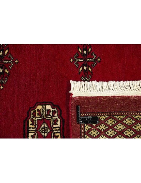 Hand made rug Bukhara fine Pakistan cm.235x319