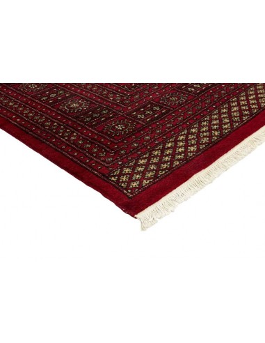 Hand made rug Bukhara fine Pakistan cm.235x319